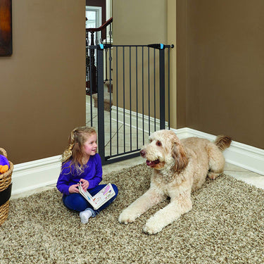 Graphite Glow in the Dark Steel Pet Gate - 39